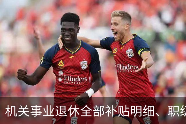 机关事业退休全部补贴明细、职级、年龄、标准一次性讲清楚